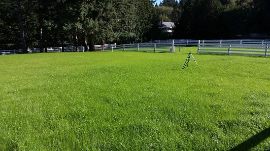 hydroseeded-pasture-in-tumwater_orig