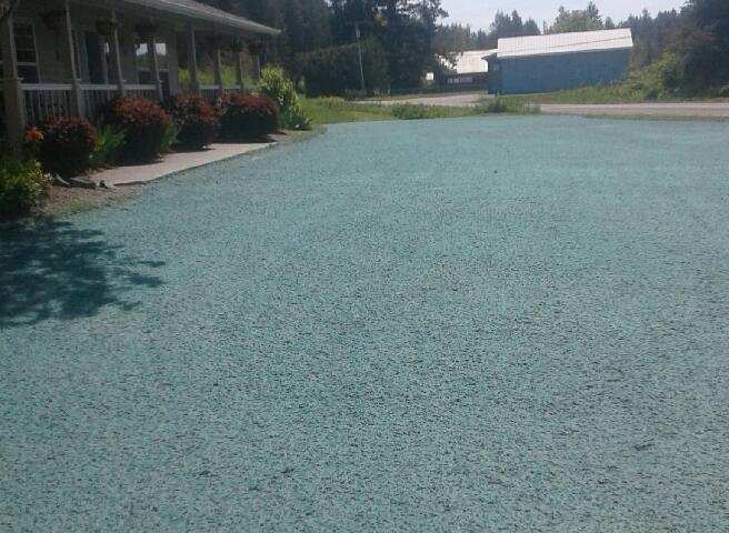hydroseeding-in-olympia-wa_orig